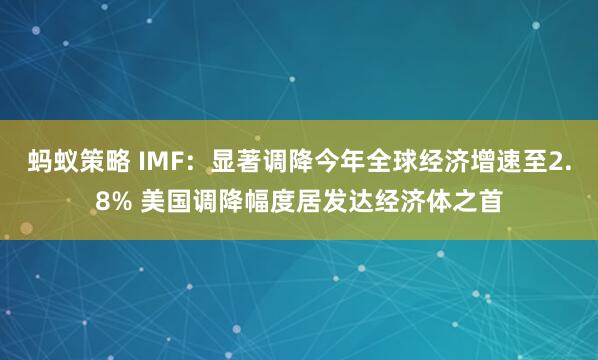 蚂蚁策略 IMF：显著调降今年全球经济增速至2.8% 美国调降幅度居发达经济体之首