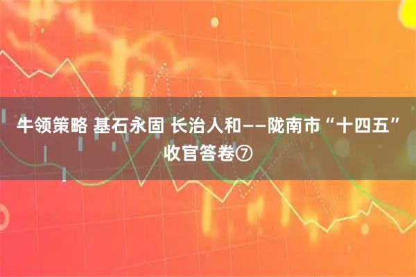 牛领策略 基石永固 长治人和——陇南市“十四五”收官答卷⑦