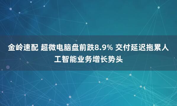 金岭速配 超微电脑盘前跌8.9% 交付延迟拖累人工智能业务增长势头