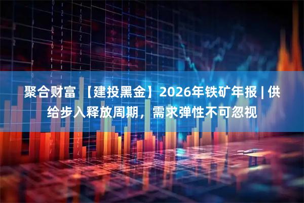聚合财富 【建投黑金】2026年铁矿年报 | 供给步入释放周期，需求弹性不可忽视