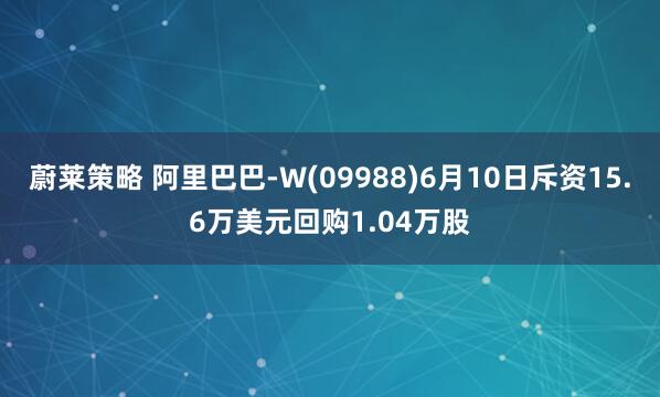 蔚莱策略 阿里巴巴-W(09988)6月10日斥资15.6万美元回购1.04万股