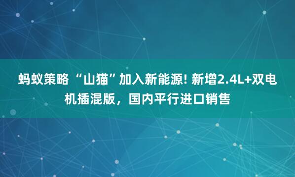 蚂蚁策略 “山猫”加入新能源! 新增2.4L+双电机插混版，国内平行进口销售