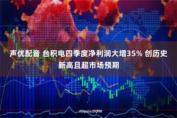 声优配音 台积电四季度净利润大增35% 创历史新高且超市场预期